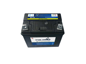 Batería de Repuesto <span class=keywords><strong>para</strong></span> Cortacésped Palma de <span class=keywords><strong>12V</strong></span> 24Ah Libre de Mantenimiento <span class=keywords><strong>para</strong></span> <span class=keywords><strong>Tractor</strong></span>/Cortacésped Deere - Product Image 6