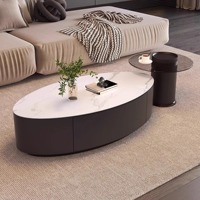 Table basse de style italien haut de gamme nordique, luxe léger, avec rangement, structure en acier inoxydable, plateau en pierre ovale moderne et minimaliste