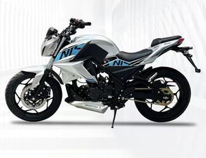 Nueva Motocicleta XF Street con Motor Zongshen o Wiesenck 120km/h 160km/h - Product Image 1
