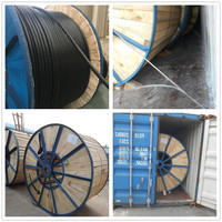 CU PVC YVV-R YJV NYY NYY-J 4 x16mm2 4 x25mm2 4 x35mm2 4 x50mm2 0,6/1kV Eca Schwarzes Niederspannung kabel