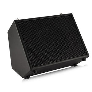 Amplificador de 30W de Acero Inoxidable con Woofer de 8 Pulgadas para Saxofón, Piano y Batería Electrónica - Product Image 5