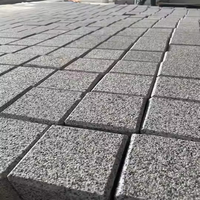 Bloc de basalte noir G359, moins cher, flammé, 10x10x5, 100% naturel, sans rayonnement, écologique, garantie à vie, pierre de pavage