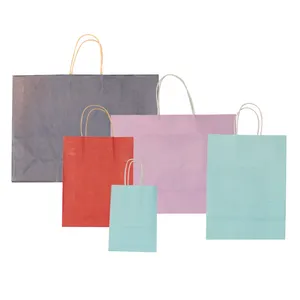 Wholesale Custom Simple Design 300 Piece Decorative Door, Cake Gift Fashion Paper Shopping Bags With Handles/