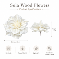 Fleur de Dahlia en Bois de Sola de 6 cm, Naturelle et Faite à la Main, Décoration Séchée pour la Maison, Idéale pour les Cérémonies de Remise des Diplômes, Halloween, Mariages, Anniversaires, Noël