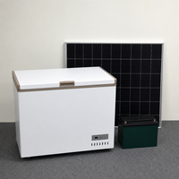Réfrigérateur commercial à énergie solaire 12V/24V pour supermarché