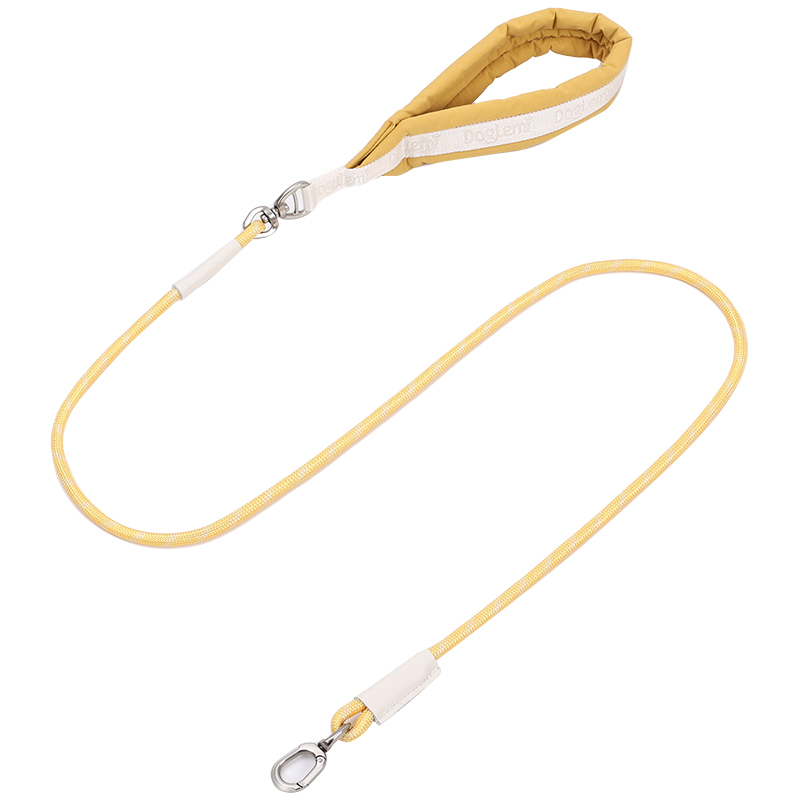 Yellow leash