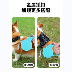 Correa Retráctil Automática para Perros de 3 a 5 Metros, Color Azul Cielo, Cuerda de Tracción para Perros Pequeños y Medianos - Product Image 4