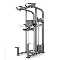 Barres parallèles en acier professionnelles unisexe pour salle de sport / Appareil de dips / Trapeze Trainer / Support d'assistance pour tractions / Multifonctionnel d'intérieur
