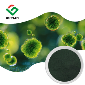 ผงคลอเรลล่าออร์แกนิกขายส่ง ผงคลอเรลล่าวัลการิส 100% ราคาดีที่สุด - Product Image 2