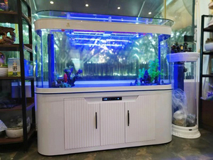 Grand <span class=keywords><strong>aquarium</strong></span> en verre 300 <span class=keywords><strong>gallons</strong></span>/tailles personnalisées <span class=keywords><strong>Aquarium</strong></span> en verre avec système de filtre - Product Image 6