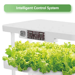 เครื่องปลูกพืชไฮโดรโปนิกส์ในร่มระบบอัตโนมัติสำหรับสวนผักสดที่ใช้ในครัวเรือนแบบเต็มคลื่นความถี่ดิจิตอลปลอดสารพิษ - Product Image 4