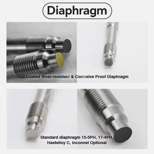 Zhyq PT124Y-615 डायाफ्राम प्रकार उच्च तापमान पिघल दबाव गेज S304/s316 सामग्री से प्रमाणित 350c 100 मिमी व्यास - Product Image 3