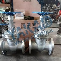 Válvula de Compuerta de Acero Inoxidable 3"/4"/6"/8" DN80/DN100/DN150/DN200 316L/304/CF8M/Duplex 2205 Clase 300 con Brida RTJ