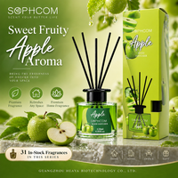 Premium 120ml Aroma Reed Diffuser met cadeauverpakking en fibersticks voor hotel, retail en op maat gemaakte geurprogramma's
