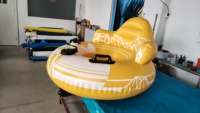 Flotteur de piscine électrique en forme de flamant rose avec tube d'eau gonflable à moteur alimenté par batterie pour la natation et les occasions de rivière