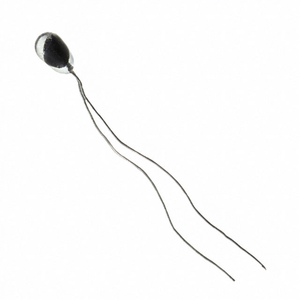 Sensor de Temperatura Tipo Perla, Termistores NTC, Proveedor de Sensores Industriales 112-205PAJ-B01 - Product Image 1