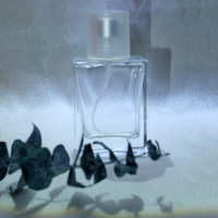 Vente en gros de flacons en verre transparent carrés réutilisables de haute qualité, personnalisables, 30 ml, 50 ml, 100 ml, avec pompe pour cosmétiques