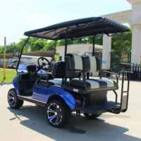 Voiturette électrique 4 places, mini-buggy, véhicule utilitaire de jardin, 48V 6.3KW 105AH, voiturette de golf