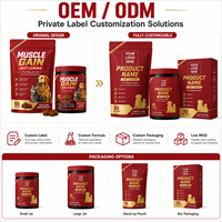 OEM ODM Suplemen Nutrisi Harian Multivitamin Kunyah Lembut untuk Peningkatan Otot Anjing, Kesehatan Pencernaan & Sendi - Produsen