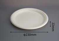 Assiettes jetables compostables et biodégradables de 10 pouces en bagasse de canne à sucre, écologiques et modernes, avec couvercle et plateau, pour la rentrée scolaire