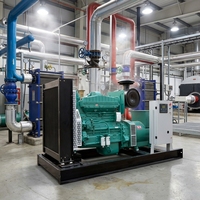 Groupe électrogène diesel triphasé certifié Euro3 de 250KW, 300KW, 350KW, 400KW, 450KW, 500KW, 625KVA pour utilisation intensive en Afrique