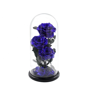 Forever Rose de gran tamaño en cúpula de cristal <span class=keywords><strong>para</strong></span> regalos de cumpleaños perfectos <span class=keywords><strong>para</strong></span> mujeres y regalo del Día DE LA Madre - Product Image 3