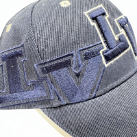 Gorra de Béisbol Azul con Bordado 3D de Diseño, Dos Tonos, Transpirable, de 6 Paneles, de Algodón, para Deportes, Verano, Personalizada