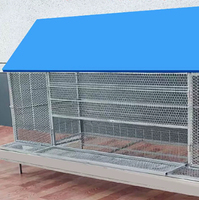 Nouvelle cage galvanisée de type anti-pluie de haute qualité, capacité de 15 oiseaux