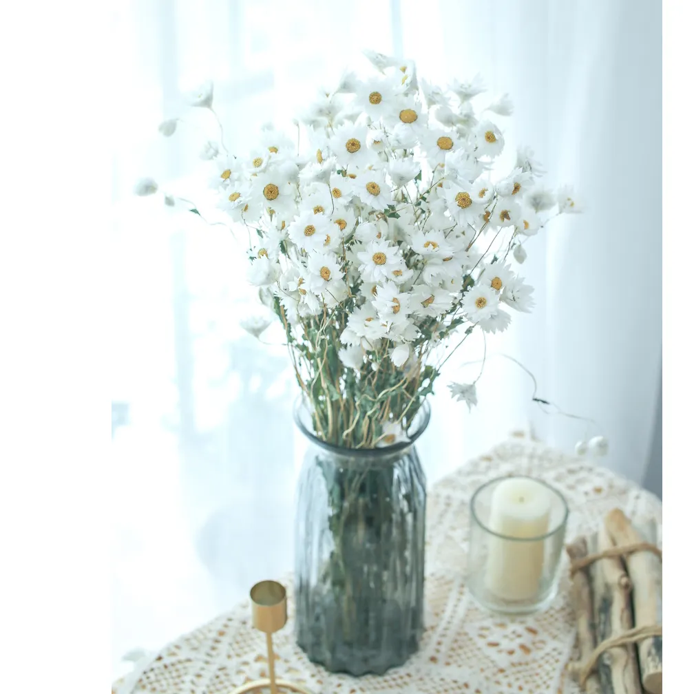 Wholesale Boho Flower Arrangement Natural Dried Flowers Rodanth/Dried Daisy Flowers For Bouquet Decoration
