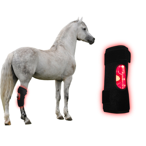 Fizik tedavi ekipmanları kırmızı ışık tedavisi atlar 660nm 850nm hock için - Product Image 4