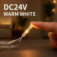 Guirlandes lumineuses LED extérieures IP65 personnalisées en gros, basse tension, clignotantes, lumière chaude pour mariage, rideau, Noël, Nouvel An