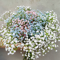 Buket Plastik Gypsophila Model MC-MTX Biru Dekorasi Rumah Pernikahan Rangkaian Bunga Kering Bunga Buatan