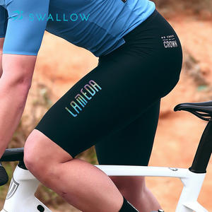 燕子有竞争力的价格无缝黑色蓝色绿色反光标志公路自行车围兜短裤 - Product Image 6