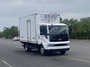 Camión Refrigerado BYD 700p Nuevo con Motor Diésel Cummins Euro 5, 4x2, Volante a la Izquierda, Ideal para Transporte de Cadena de Frío - Product Image 6