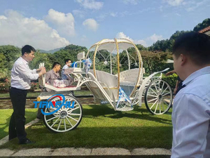 Grandiosa cenerentola carrozza trainata da cavalli regale visite all'aria aperta pratica principessa Buggy - Product Image 4