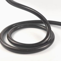 Bande LED Néon DMX Noire à Vision à 360 Degrés, Étanche IP68, 72 LED, Flexible, Type Corde, à Pixels, pour Vente en Gros