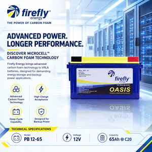 Batterie au plomb-acide 12 volts 65 ampères-heure de qualité supérieure, technologie de mousse de carbone microcellulaire Firefly Oasis, pour projets d'énergie alternative - Product Image 1