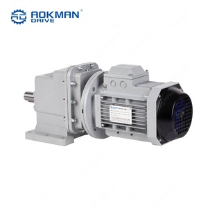 Réducteur hélicoïdal compact en série RC pour machines de transformation du plastique et convoyeurs - Product Image 6