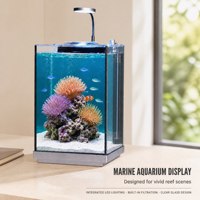 Aquarium marin avec une forte filtration biologique pour les configurations de récif et d'eau douce, fourniture personnalisée en gros