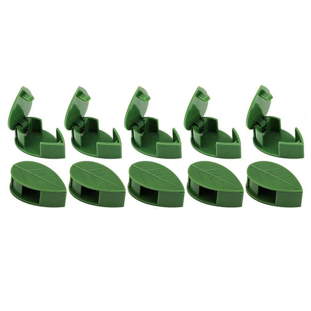 10 шт., настенный держатель для растений