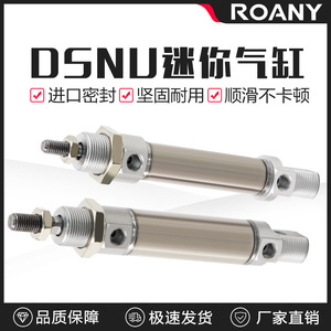 Deux vérins pneumatiques à piston fileté en acier inoxydable, double action, standard - Product Image 5