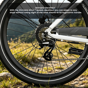 Vélo Électrique Urbain 26 Pouces à Cadre Basé, Moteur 250W, Batterie 504Wh, 7 Vitesses, avec Porte-Bagages - Meilleure Vente LW-EFK009 - Product Image 5