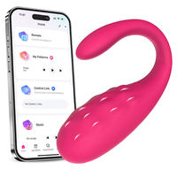 Leistungsstarker Diskreter Wasserdichter Nippel-Vibrator mit Klemmen für Weibliches Sexuelles Vergnügen mit 10 Modi Leichtes Unsichtbares Silikon-Spielzeug