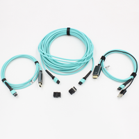 MPO HDMI 2.1 sur fibre optique 48gbps 4k 120hz/ 8k 60hz Extenders Câble HDMI à fibre optique HDMI MPO 30m 50m 100m 200m 300m