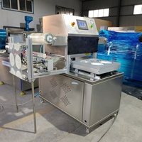 Automatische traysealmachine, MAP vacuümverpakkingsapparatuur voor vlees, fruit, kant-en-klare maaltijden, plastic doosjes.