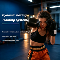 Simulateur de boxe interactif : Système de jeu de frappe anti-stress pour l'éducation et le divertissement commercial