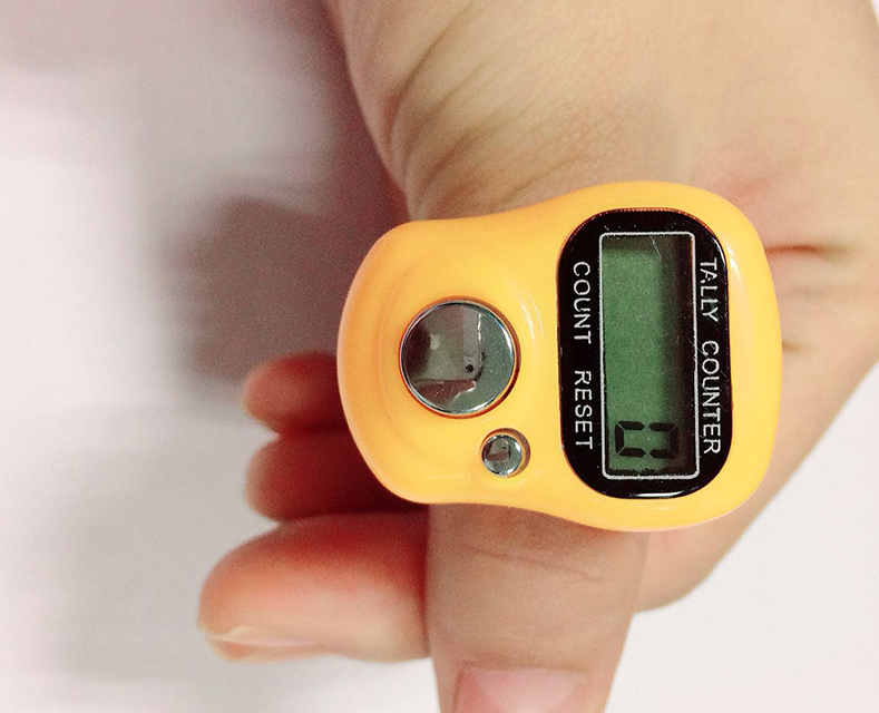 Mini 5 Digit LCD Digital Display