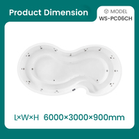 Offre Spéciale grande piscine de 6M de long spa WS-PC06CH