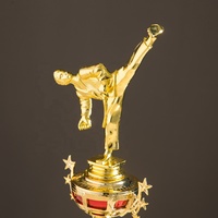 Medallas y Trofeos Personalizados Talla L para Taekwondo, Lucha de Brazos, Lucha Libre, Judo GD12