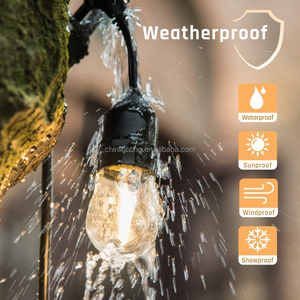 Đèn Dây Ngoài Trời Năng Lượng Mặt Trời S14 Đèn Dây Thần Tiên Năng Lượng Mặt Trời Đèn Led Ngoài Trời 15 + 1 Đèn Vòng Hoa Trang Trí Ngày Lễ Đám Cưới - Product Image 6